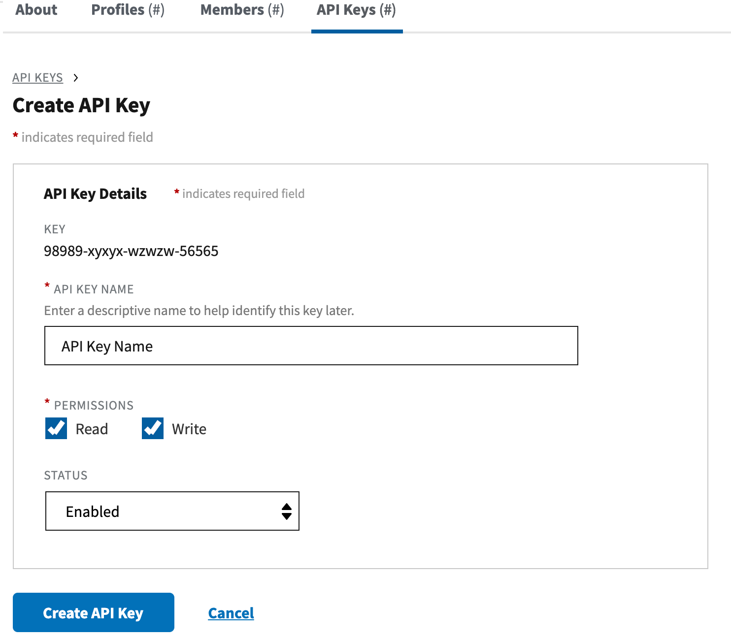 Screenshot of creating an API key